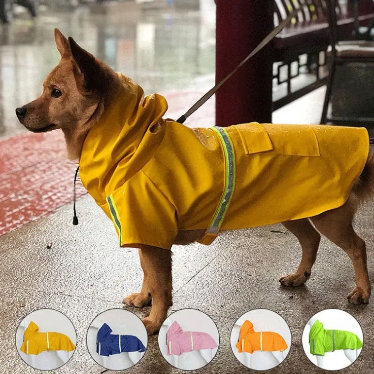 Trendy Waterproof Dog Raincoat for Fashionable Pets in Rain